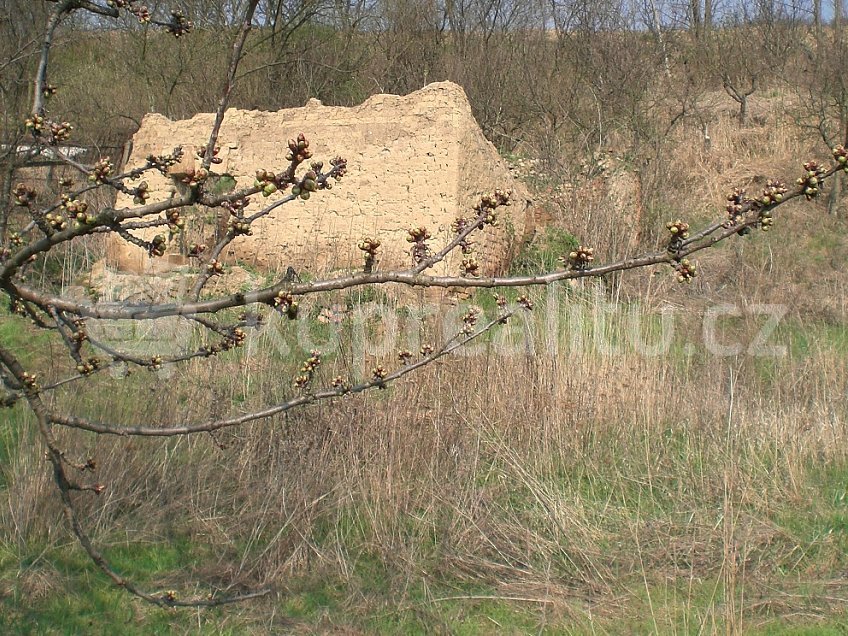 Prodej  stavebního pozemku 1576 m^2 Kurdějov 123, Kurdějov 69301