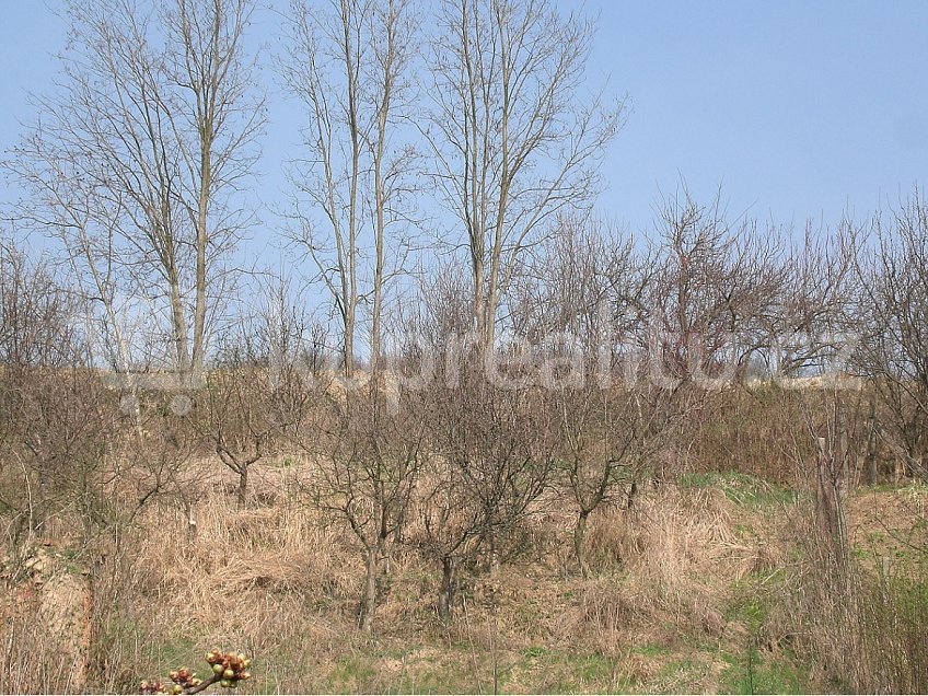 Prodej  stavebního pozemku 1576 m^2 Kurdějov 123, Kurdějov 69301