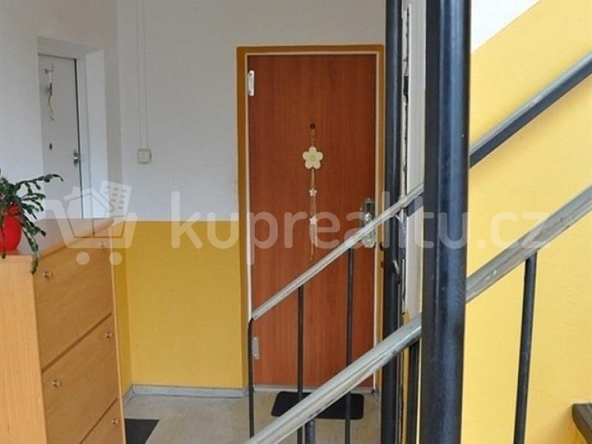 Prodej bytu 2+1 40 m^2 Brandýs nad Labem-Stará Boleslav 25001