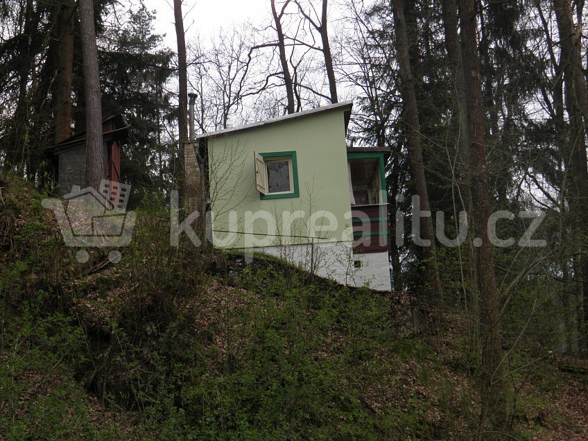 Prodej  chaty 100 m^2 Borovnice 