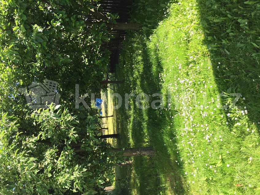 Prodej  usedlosti 328 m^2 Nádražní, 13, Javorník 79070