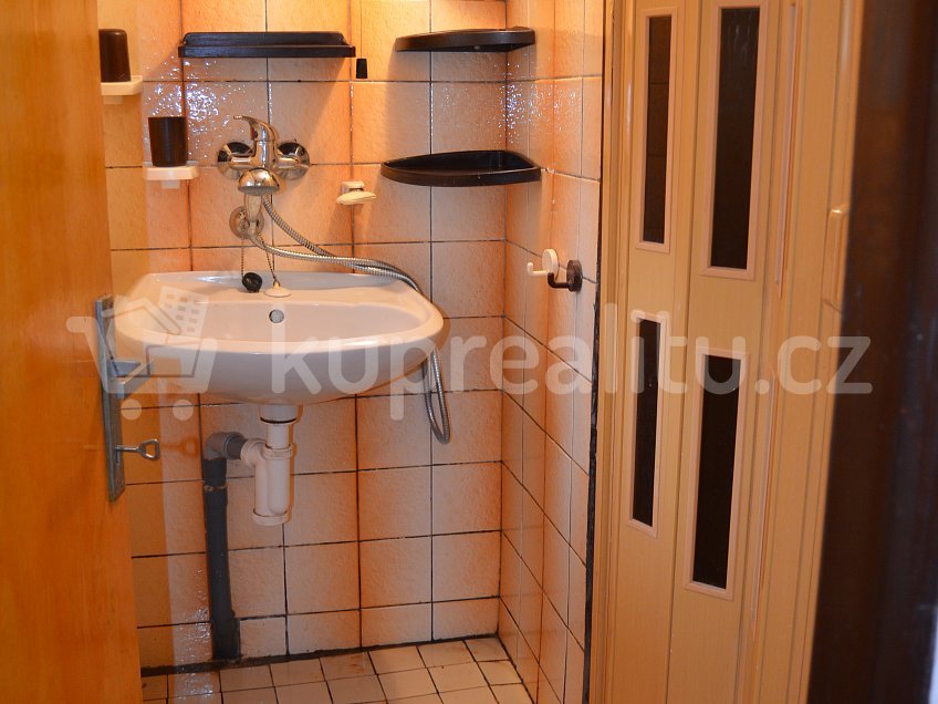 Prodej  ostatní reality 42 m^2 105E, Velký Vřešťov 54454