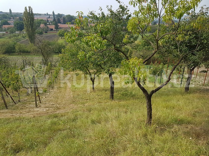 Prodej  sadů/vinic 1480 m^2 Vážany nad Litavou, Vážany nad Litavou 68401