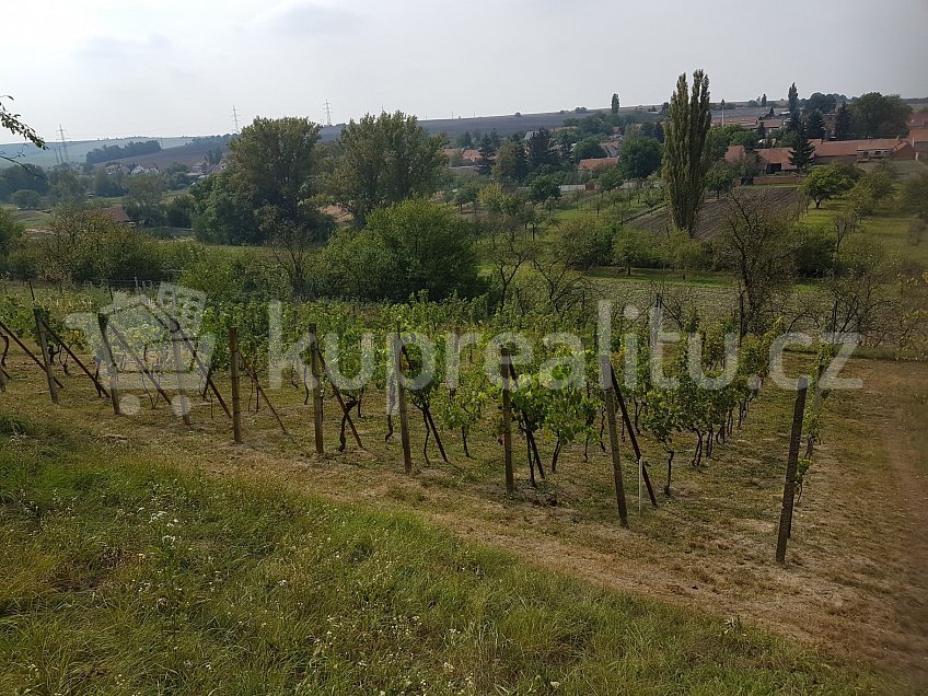 Prodej  sadů/vinic 1480 m^2 Vážany nad Litavou, Vážany nad Litavou 68401