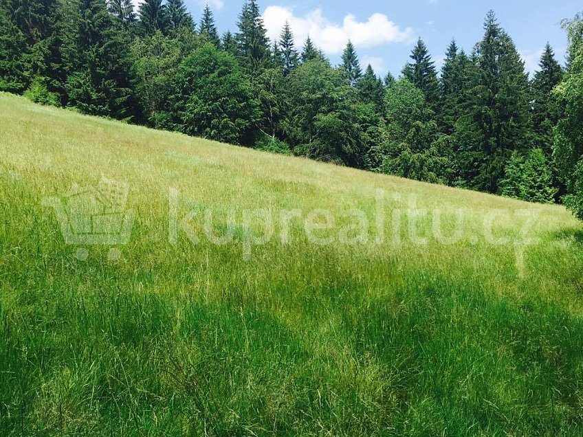 Prodej  chalupy 187 m^2 Košařiska 739 81