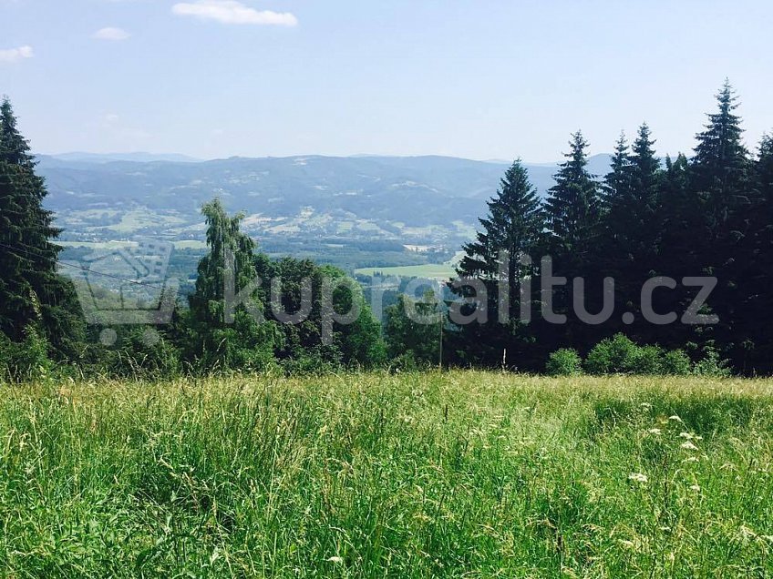 Prodej  chalupy 187 m^2 Košařiska 739 81