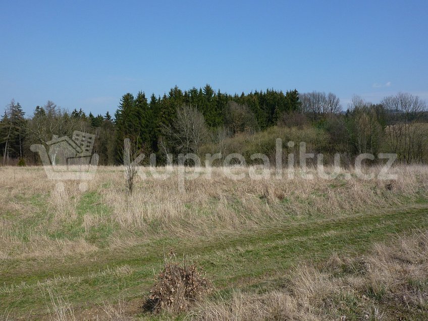 Prodej  stavebního pozemku 7746 m^2 Blažkov, Blažkov u Slavoňova 