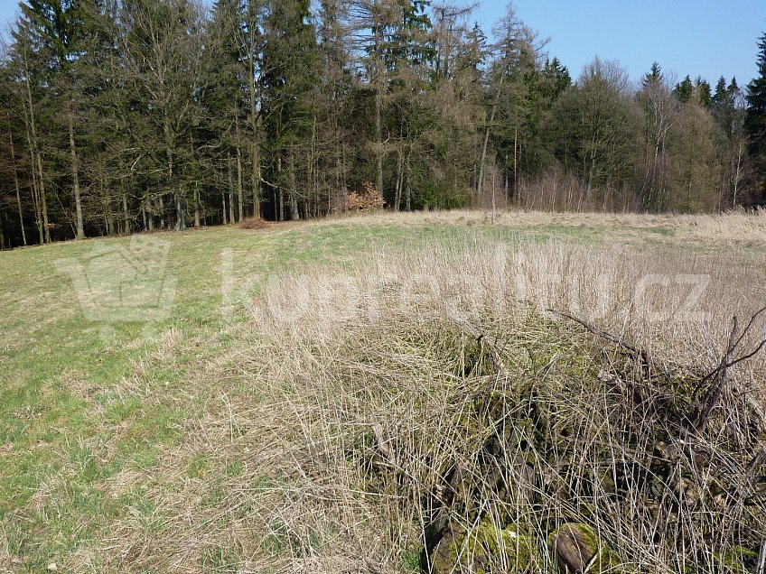 Prodej  stavebního pozemku 7746 m^2 Blažkov, Blažkov u Slavoňova 