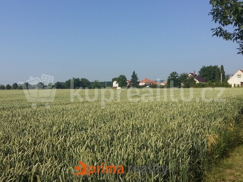 Prodej  stavebního pozemku 15000 m^2 Lutín - Třebčín 1, Lutín - Třebčín 