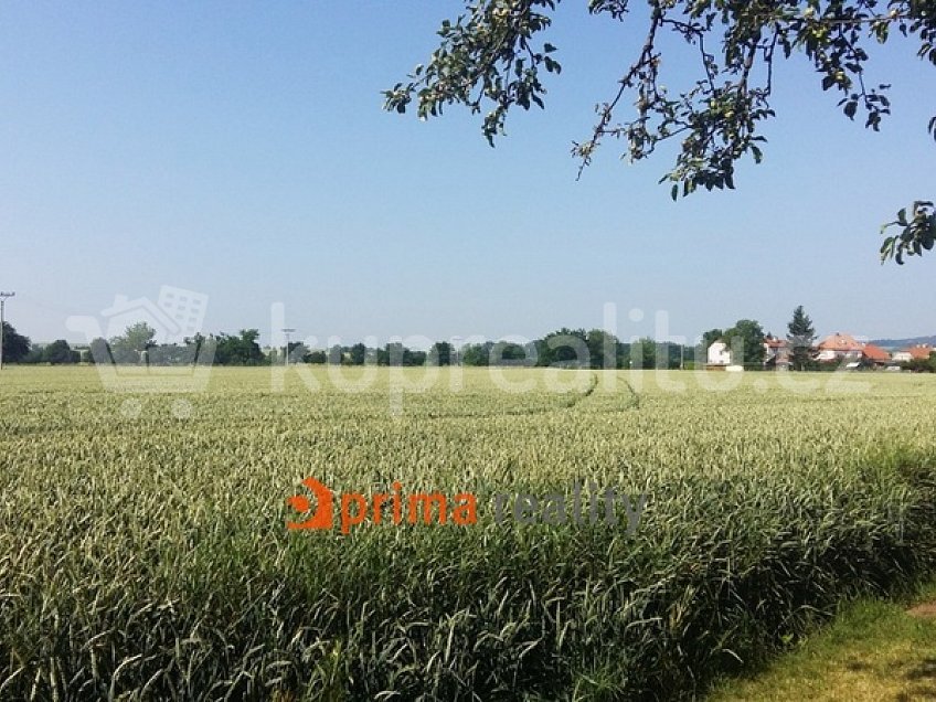 Prodej  stavebního pozemku 15000 m^2 Lutín - Třebčín 1, Lutín - Třebčín 