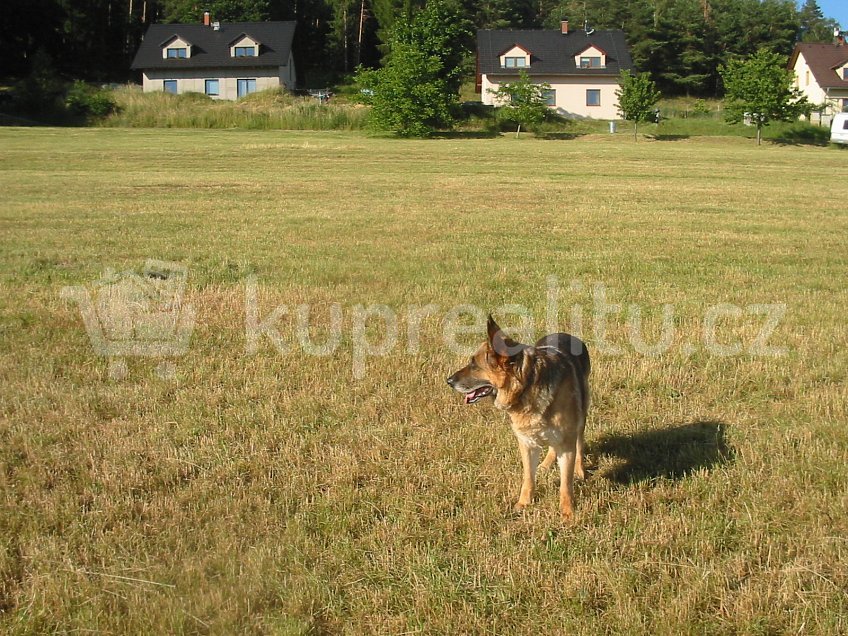 Prodej  stavebního pozemku 2196 m^2 Dřevěnice 79, Dřevěnice 50713