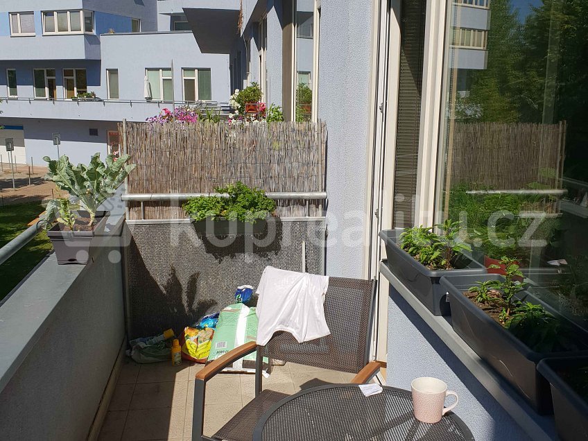 Prodej bytu 1+kk 47 m^2 Kudrnova 234, Praha 5, Motol 15000