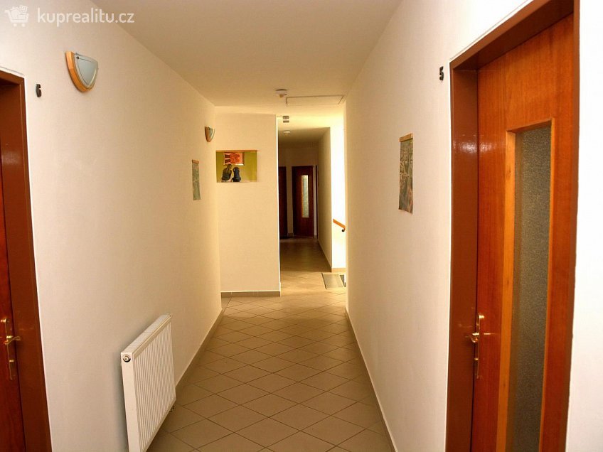 Pronájem bytu - pokoj 25 m^2 Plotišťská 36, Hradec Králové 50341