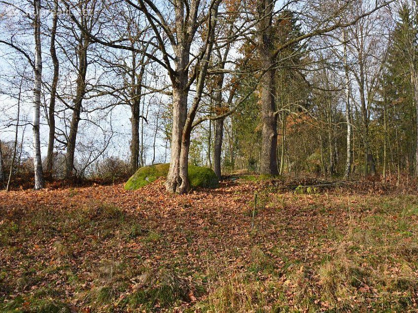 Prodej  stavebního pozemku 5012 m^2 Luční, Smržovka 