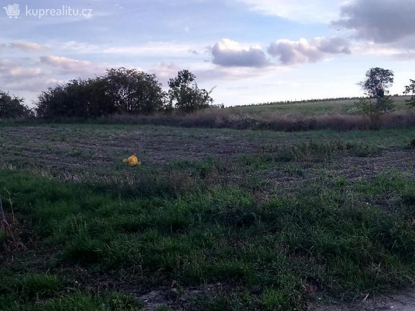 Prodej  pole 461 m^2 Pavlov 69201