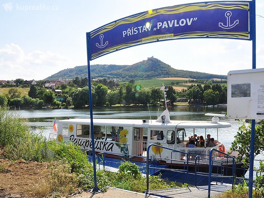 Prodej  pole 461 m^2 Pavlov 69201