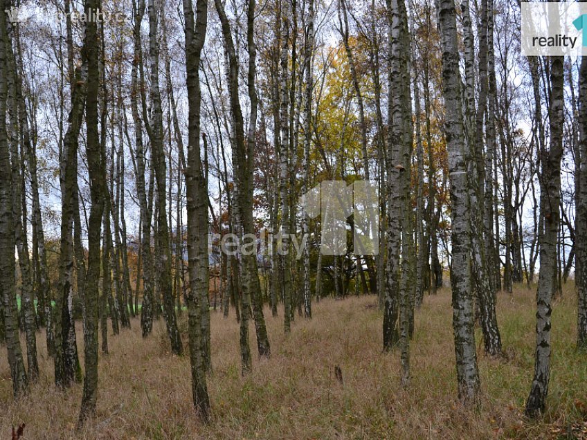 Prodej  pozemku 11599 m^2 Stráž pod Ralskem, Stráž pod Ralskem 