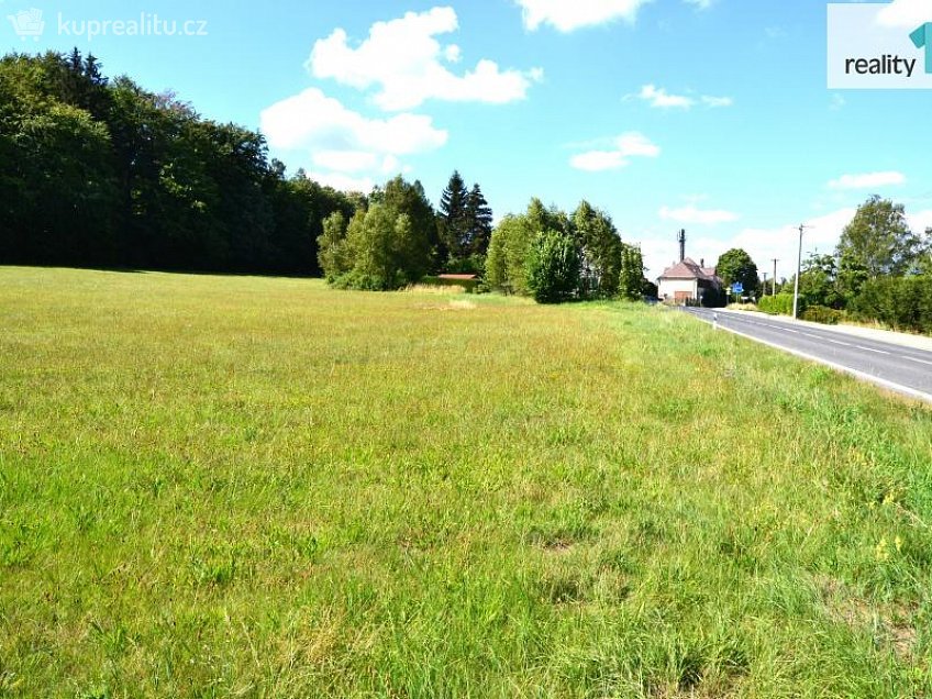 Prodej  stavebního pozemku 2705 m^2 Rybniště, Rybniště 