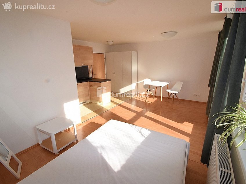 Pronájem bytu 1+kk 27 m^2 Nad Palatou, Praha 5 