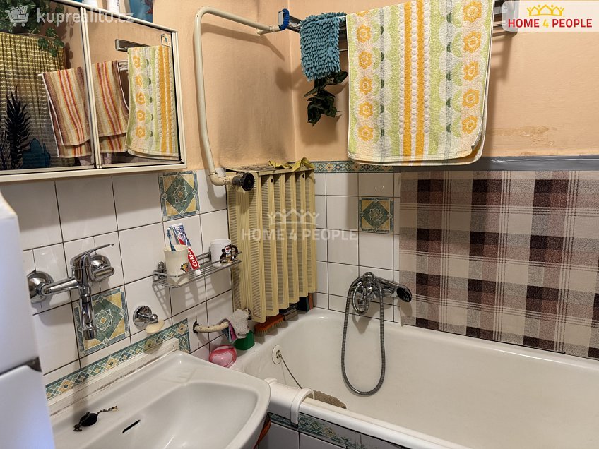 Prodej  vily 330 m^2 Budovatelská, Bělčice 