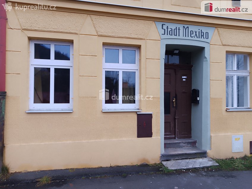 Pronájem bytu 1+1 37 m^2 Petřín, Karlovy Vary 