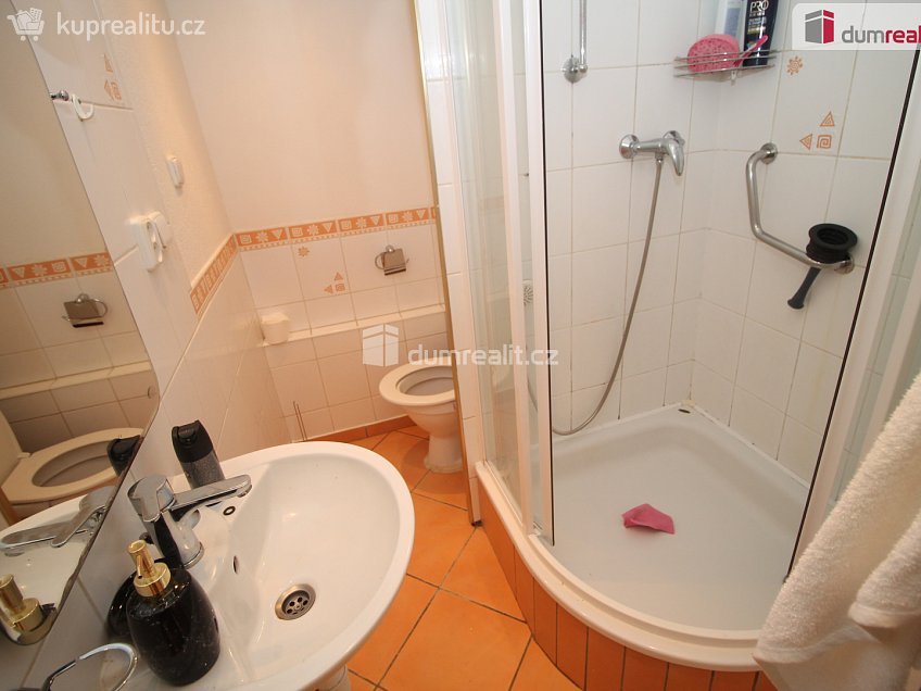 Pronájem bytu 2+kk 44 m^2 Konečná, Karlovy Vary 