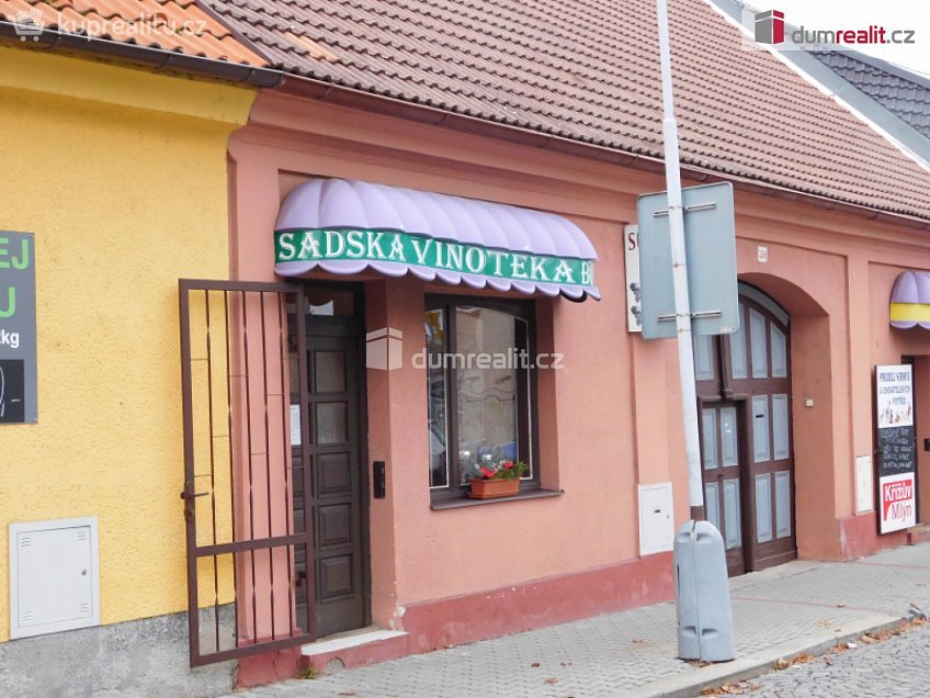 Pronájem  obchodních prostor 45 m^2 Tylova, Sadská 