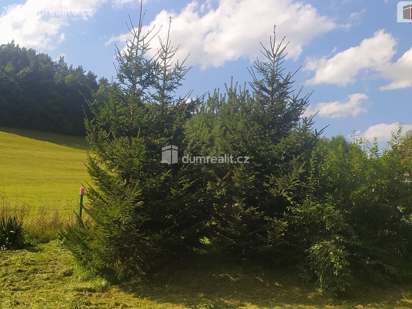 Prodej  zemědělských prostor 4386 m^2 Bílá, Bílá 