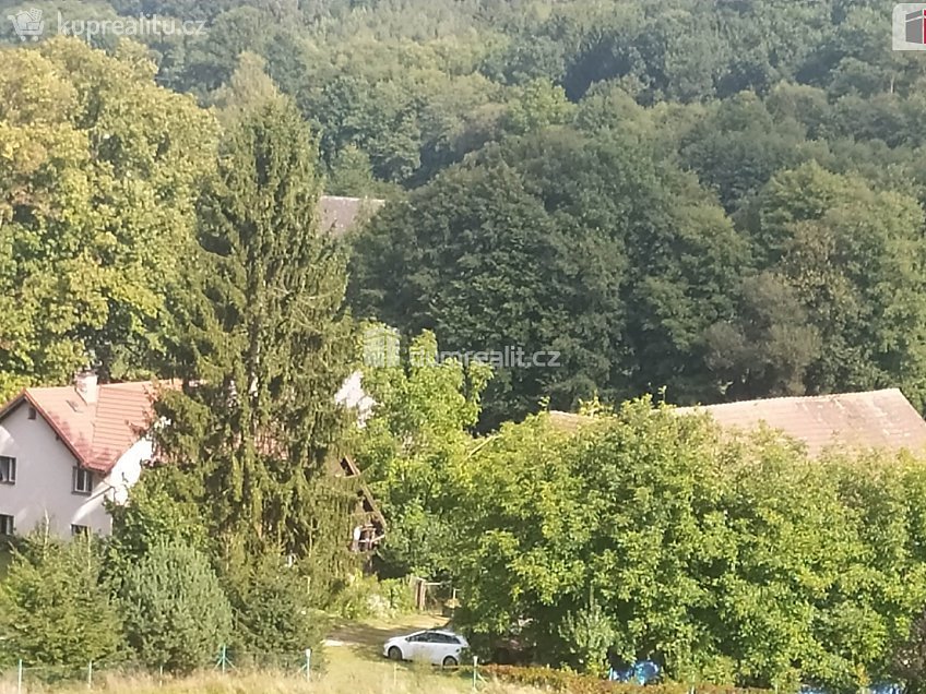 Prodej  zemědělských prostor 4386 m^2 Bílá, Bílá 