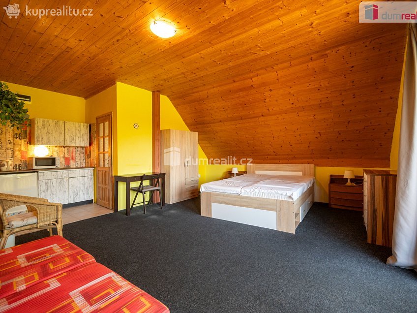 Prodej  ubytovacího zařízení 366 m^2 Frymburk, Frymburk 