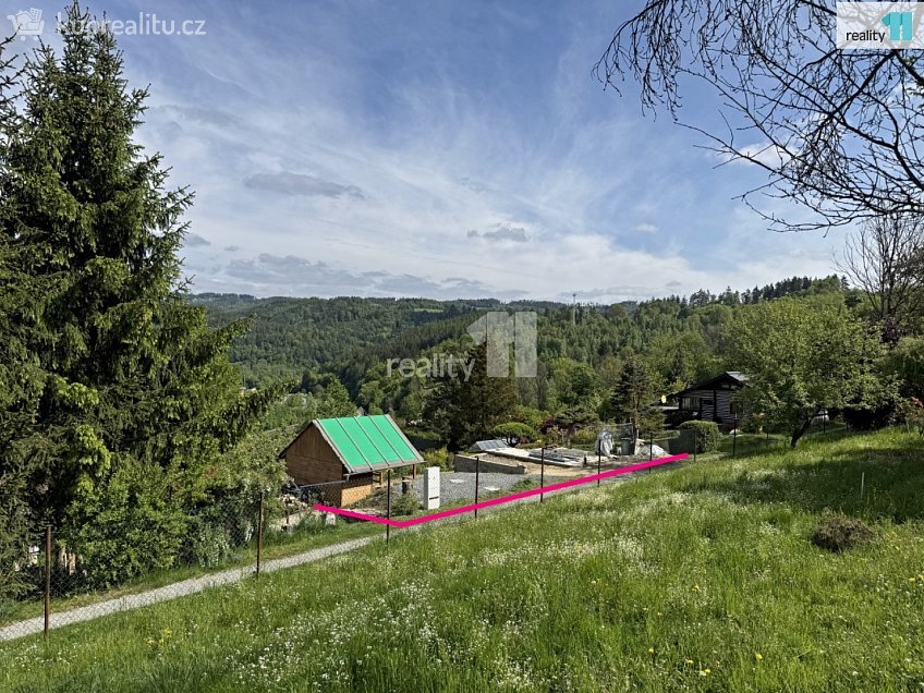 Prodej  chalupy 302 m^2 Líšný, Líšný 