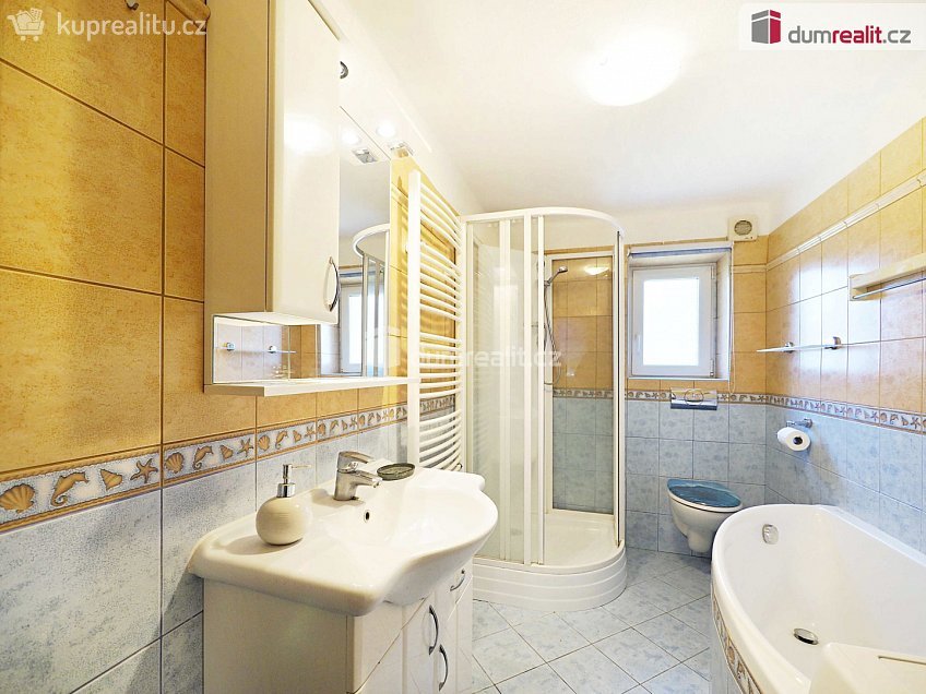 Prodej  rodinného domu 160 m^2 Žehušice, Žehušice 