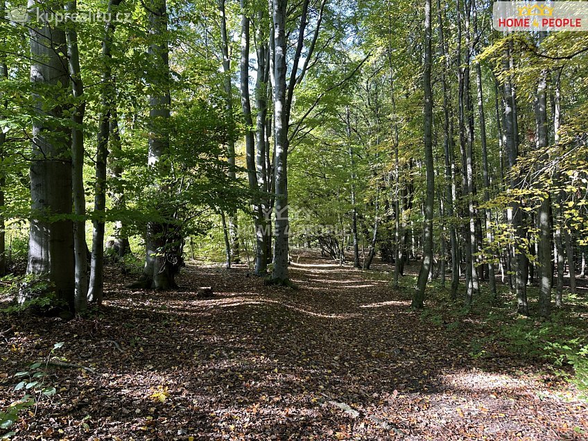 Prodej  stavebního pozemku 1244 m^2 Černokostelecká, Černé Voděrady 