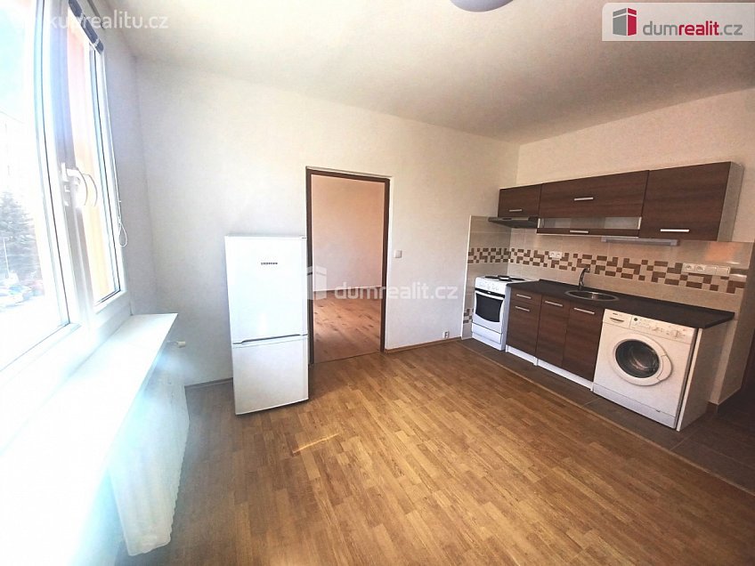 Pronájem bytu 1+1 35 m^2 Mládeže, Jílové 