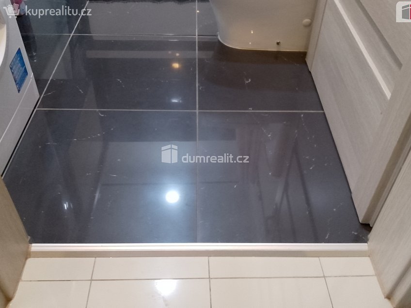Prodej bytu 2+1 106 m^2 Vítězná, Karlovy Vary 