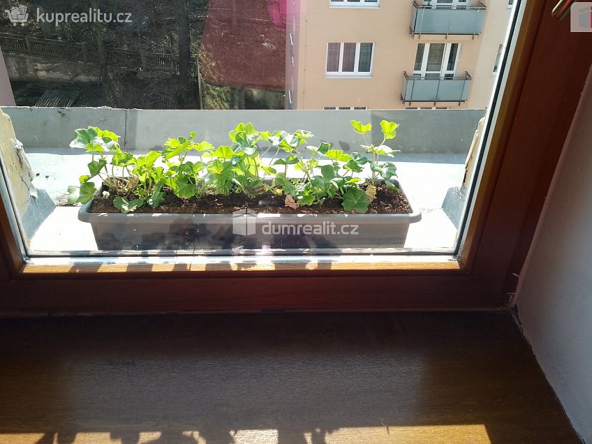 Prodej bytu 2+1 106 m^2 Vítězná, Karlovy Vary 