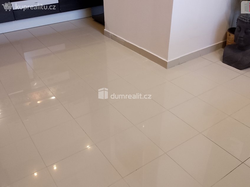 Prodej bytu 2+1 106 m^2 Vítězná, Karlovy Vary 