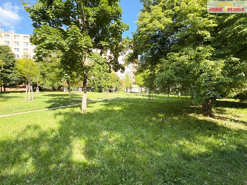 Prodej bytu 1+1 42 m^2 Stará osada, Brno 