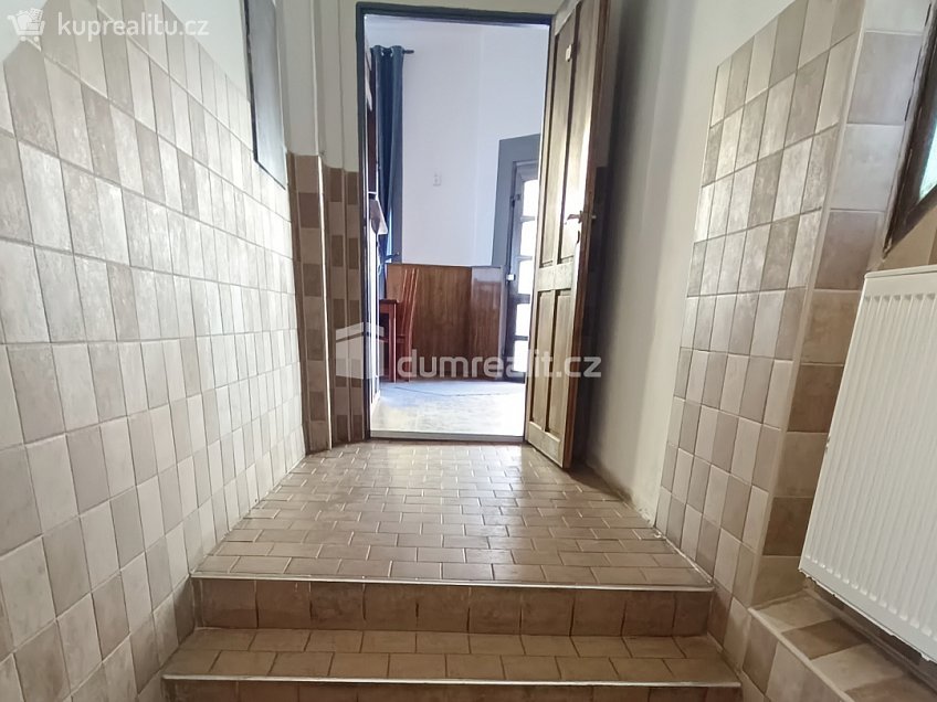 Pronájem  restauračního zařízení 260 m^2 Vilsnická, Děčín 