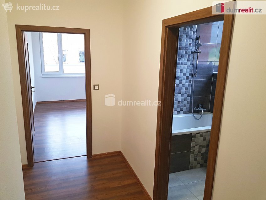 Prodej bytu 2+kk 45 m^2 Kaštanová, Milovice 