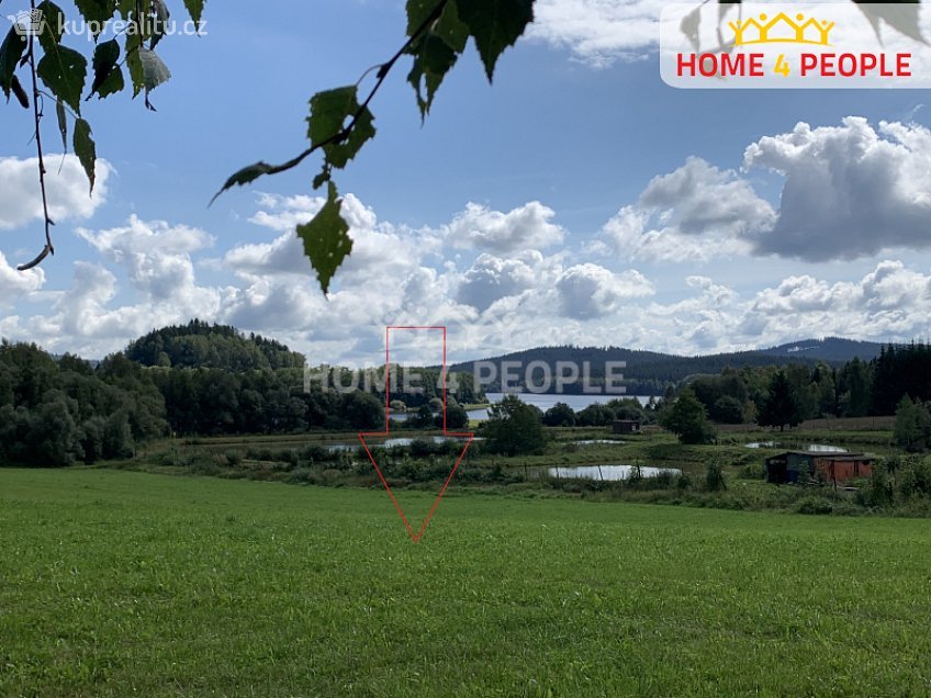 Prodej  louky 5435 m^2 Nová Pec, Nová Pec 