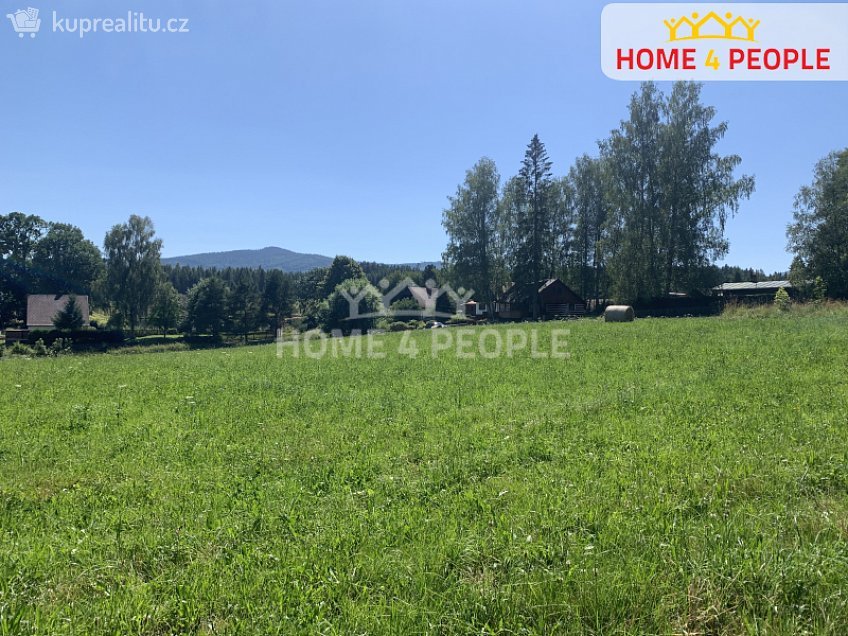 Prodej  louky 5441 m^2 Nová Pec, Nová Pec 