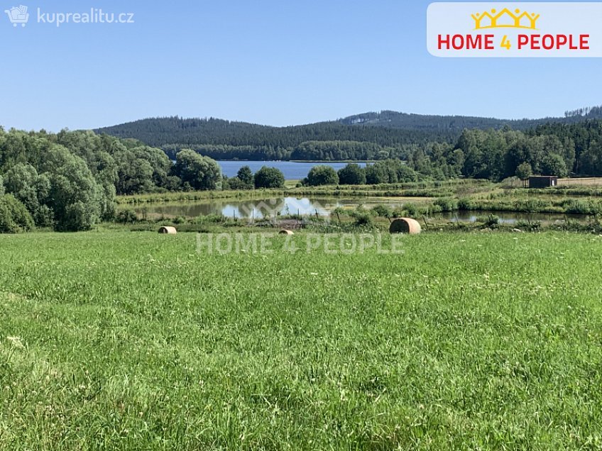 Prodej  louky 5441 m^2 Nová Pec, Nová Pec 