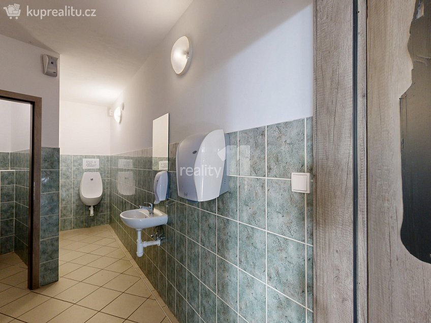 Prodej  obchodních prostor 242 m^2 Buková, Jihlava 
