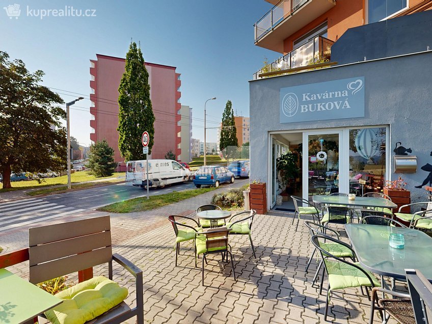 Prodej  obchodních prostor 242 m^2 Buková, Jihlava 