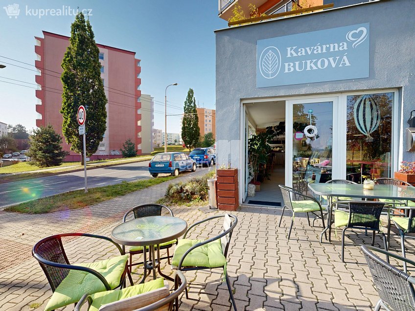 Prodej  obchodních prostor 242 m^2 Buková, Jihlava 