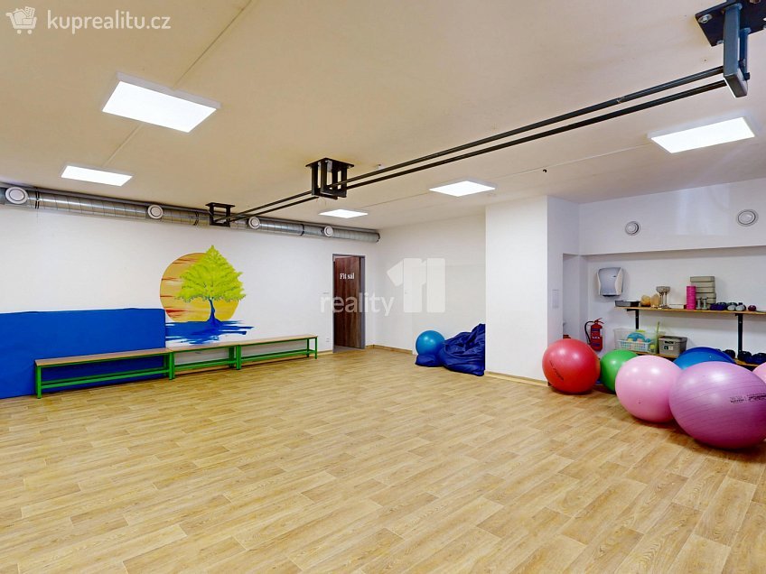 Prodej  obchodních prostor 242 m^2 Buková, Jihlava 
