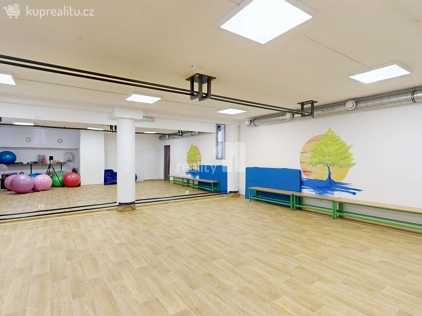 Prodej  obchodních prostor 242 m^2 Buková, Jihlava 