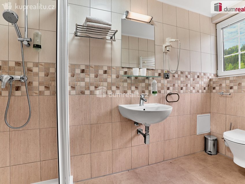 Prodej bytu 1+kk 19 m^2 Merklín, Merklín 