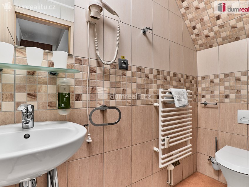 Prodej bytu 1+kk 27 m^2 Merklín, Merklín 